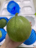 绿宝甜瓜新鲜绿宝石香瓜水果当季时令甜脆瓜孕妇现摘现发 5斤 晒单实拍图