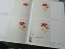 新编养心斋描摹画谱 小写意花卉1 实拍图