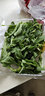 绿食者 新鲜冰菜250g 冰草 西餐酒店凉拌生吃沙拉蔬菜 全店满5件顺丰 250g 实拍图