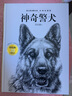 沈石溪动物小说 经典爱藏版·神奇警犬 实拍图