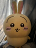 名创优品（MINISO）chiikawa大号站姿公仔正版玩偶毛绒玩具生日礼物女 Usagi乌萨奇 晒单实拍图