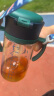 日康（rikang）水杯 儿童水壶婴儿学饮杯吸管杯带重力球背握两用300ML 青绿B1044 晒单实拍图
