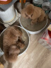 pidan猫抓板 山谷款 碗形大瓦楞纸猫窝耐磨猫玩具 高品质猫咪用品 晒单实拍图