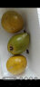 顺丰海南鸡蛋果3/5斤 蛋黄果当季热带孕妇生鲜水果新鲜应季广西 1斤 晒单实拍图