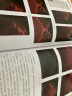 数字绘画技法丛书--Photoshop插画创作从入门到精通 实拍图