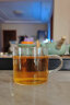 GIANXI 玻璃茶杯功夫茶具套装耐热加厚家用透明喝水杯子泡茶 6只+杯架  晒单实拍图