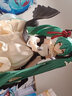 初音未来周边手办交响乐初音二次元动漫周边礼物摆件生日礼物礼品 歌唱家 初音未来（20cm盒装） 实拍图