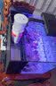 HLD超白海缸海水缸全套珊瑚小丑鱼缸方形背过滤SPS LPS背滤海水缸 FCB-350裸缸 实拍图