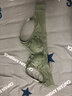 维多利亚的格调内衣女新款薄款大胸显小全罩杯聚拢女收副乳防下垂提胸大码文胸罩 1516#青绿色 36-80B 实拍图