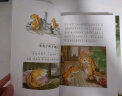 大自然幻想微童话集 10册 注音美绘版 王一梅 冰波作品 童话故事书 一二三年级大奖绘本故事 实拍图