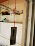 悦汇礼屋玻璃风铃 日本手工创意可爱卧室挂件饰旅游景区和风挂门饰小清新 蒲公英（黑色） 实拍图