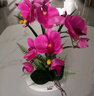wo+ 高档新款手感PU蝴蝶兰仿真花艺客厅餐桌花电视柜装饰花假花 黑色扁陶瓷盆+紫红色蝴蝶兰 实拍图
