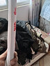 光威（GW）战鳍综合鱼竿青草鲢鳙鲤大物28调碳素轻硬野钓台钓竿钓鱼竿手杆 8.1米+金属竿止+竿梢+送礼包 实拍图