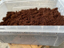 泷戈小乌龟过冬窝用品装备恒温家用龟椰土保暖乌龟冬眠保温箱冬眠箱 大号冬眠箱(含3斤椰土+100克苔藓) 实拍图