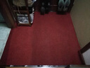 悦渔可定制裁剪地毯酒店大堂进门迎宾垫走廊楼梯过道防滑垫子电梯公司门口垫办公楼消毒地毯绒布胶底商用地毯 暗红色 1.2米宽*1米长(需要几米拍几件) 实拍图