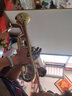 星海（XINGHAI INSTRUMENT）降b调小号乐器 XT-100/120学生考级儿童初学入门款学校乐队通用 升级XT-100型-黄铜变音管 实拍图