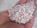 家禽贝壳粉饲料鸡饲料鸡啄毛鸡吃蛋补钙贝壳粉贝壳片鸽子专用 粗贝壳粉约3-5mm(10斤) 实拍图