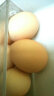密园小农 土鸡蛋白皮散养柴鸡蛋 30枚 约1.5kg 实拍图