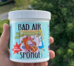 BAD AIR SPONGE美国Bad Air空气净化剂除异味活性炭室内新房汽车家用甲醛清除剂 2罐800g（约74平方米） 实拍图