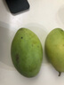 探味君 越南大青芒 应季新鲜水果热带大芒果青皮金煌甜心芒果整箱 5斤 净重4.5斤 【特大果】人气爆款装 实拍图