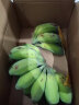果迎鲜苹果蕉广西苹果蕉 胖香蕉 广西西贡蕉 粉蕉 香蕉 新鲜水果 5斤苹果蕉 晒单实拍图