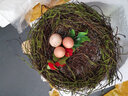 慧祥创意家居客厅园艺装饰摆件仿真动物树脂工艺品仿真小鸟装饰摆件 鸟窝(配送三个鸟蛋) 实拍图