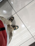 森馬（Senma）个性时尚简约板鞋系带厚底情侣休闲鞋男113111906 杏绿色 44码 实拍图