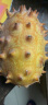 拉尔庄园火参果 南非品种火参果 刺角 复联4灭霸水果 2个大果（单果约200+） 实拍图