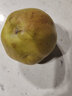 京鲜生 天山雪梨  净重5斤装 单果200起  精选雪梨 新鲜水果 实拍图