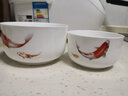华光国瓷 抗菌骨瓷保鲜碗三件套 保鲜盒釉中彩 一人食泡面碗饭盒带盖 福鱼贺岁 实拍图