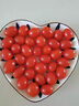 玲珑圣女果釜山88小番茄5斤樱桃小柿子迷你孕妇水果西红柿新鲜FF 2.5（带箱3斤） 实拍图