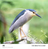 腾龙（Tamron）官方旗舰店90mm F/2.8全画幅微距定焦镜头 E卡口/Z卡口 人像微单镜头全画幅拍昆虫花草珠宝 牙医 尼康Z卡口 官方标配【送腾龙UV滤镜+64G卡+清洁套装】 实拍图