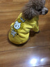 嬉皮狗（hipidog） 狗狗衣服秋冬季泰迪衣服小型犬保暖打底衫防掉毛比熊幼犬衣服 黄色条纹 XL (建议体重11-16斤) 实拍图