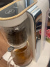 鸣盏即热式饮水机 自动泡茶机 茶饮机 煮茶器 办公室家用养生壶 台式直饮机 懒人喝茶神器 MZ-906B 明黄色即热型 温热型 实拍图