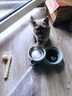 畅享猫粮幼猫成猫天然英短蓝猫加菲全价全猫龄通用 车前籽泌尿管理全期猫粮1.5KG 实拍图