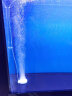SICCE 鱼缸清洁工具鱼缸刷鱼缸刷子长把长柄鱼缸用品捞鱼网兜刮藻刀铲刀可伸缩五合一擦玻璃神器 五合一鱼缸清洁套装可伸缩（60-120cm） 实拍图