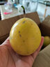 卡布诺海南黄金百香果甜种钦蜜9号黄色百香果特大鸡蛋果新鲜应季水果 1斤小果尝鲜装 实拍图