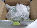 天城一品 玻璃茶壶花茶具沏茶带过滤器烧水壶冲茶器高温耐热 玻璃茶壶（550ml)花茶壶 实拍图