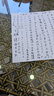 毕加索（pimio）钢笔签字笔 高端商务办公礼品 毕业礼物男 铱金墨水笔礼盒装 梦幻波尔卡系列918银色 实拍图