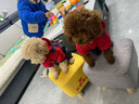 宠物圈（PETCIRCLE）冬季狗狗衣服泰迪衣服秋冬装小狗宠物贵宾四脚衣服萌宠服装狗衣服 红色款 M胸42背28cm 体重6-8斤 实拍图