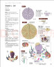 巴黎复古风钩针动物玩偶 毛线钩针编织教程书大玩偶编织织法简单初学者适用小玩偶钩针编织DIY编织书 实拍图