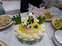 味多美 蛋糕生鲜 水果儿童奶油生日蛋糕 北京同城配送  熊猫乐园蛋糕 20cm 提拉米苏坯 实拍图