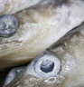 御鲜轩 深海冷冻南极冰鱼400g/2条装 肉结实无小刺烧烤海鲜水产生鲜 晒单实拍图