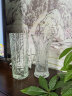 弗莱文茨简约透明玻璃花瓶水培富贵竹百合水养花器插花瓶家用客厅桌面摆件 太阳花花瓶30cm 实拍图