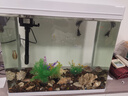 长锐小鱼缸小型桌面客厅家用玻璃免换水迷你 【CR520】长50x宽30x高46cm 实拍图