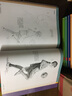 人体姿态素描技法——西方经典美术技法译丛 实拍图