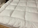 希尔顿羽绒床垫软垫床褥垫加厚hilton五星级酒店褥子学生宿舍垫子 【正品希尔顿逸林抗菌防螨】白色 1.8x2.0m【酒店加厚床垫10cm】 实拍图
