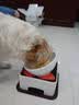 日式宠物狗狗猫斜口防滑陶瓷食盆架法斗碗狗碗食盆大号大型犬用品 L-白色碗橙垫餐桌套装 实拍图