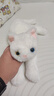 龙猫泰迪小猫抱枕猫咪玩偶布娃娃可爱仿真猫公仔毛绒玩具儿童女生陪睡礼物 白色猫 53 实拍图