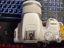 佳能/Canon EOS 100D 200D 200d二代 二手单反相机 200D白+18-55 防抖 套机 95新 实拍图